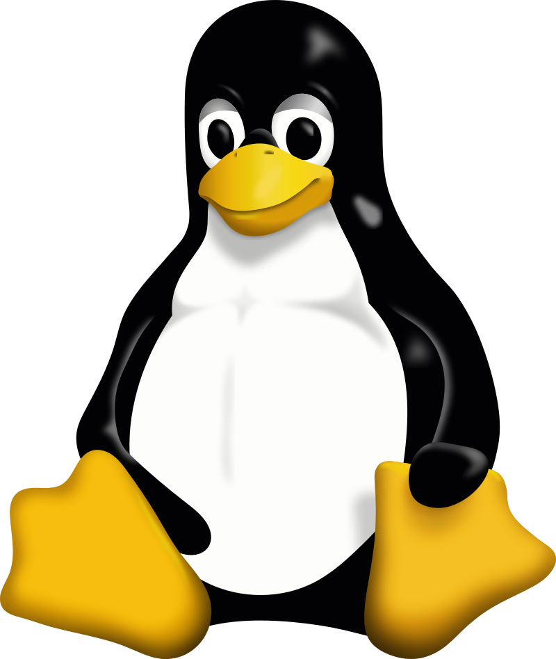 logo linux server